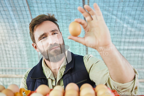 Image of Farm, agriculture and man with egg in hand for inspection, growth production and food industry. Poultry farming, organic and farmer with chicken eggs for logistics, protein market and quality control