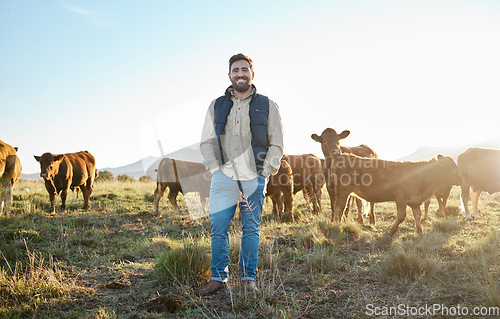 Image of Sustainability, farming and portrait of man with cows on field, happy farmer in countryside with dairy and beef production. Nature, meat and milk farm, sustainable business in agriculture and food.