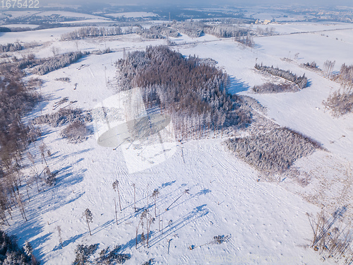 Image of Aerial view of spruce tree in deforested landscape