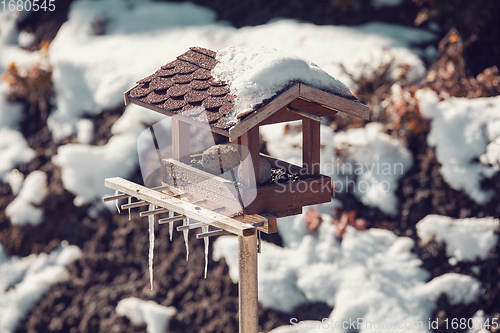 Image of birdhouse in winter garden