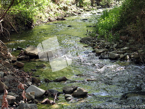 Image of Quiet green river. Cyprus