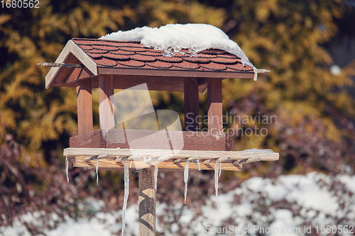 Image of birdhouse in winter garden