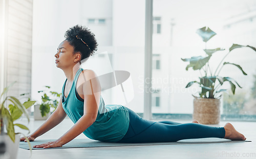 Image of Black woman, yoga and stretching exercise for fitness, peace and wellness. Young person in health studio for holistic workout, mental health and body balance with zen meditation energy on ground