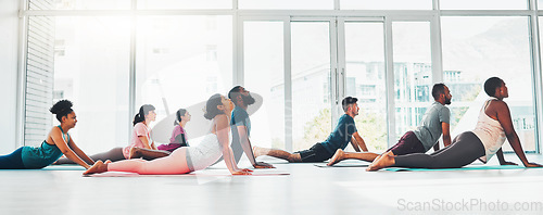 Image of Yoga class, fitness and exercise with people together for health, diversity and wellness. Men and women in zen studio for holistic workout, mental health and body balance with cobra mockup on ground