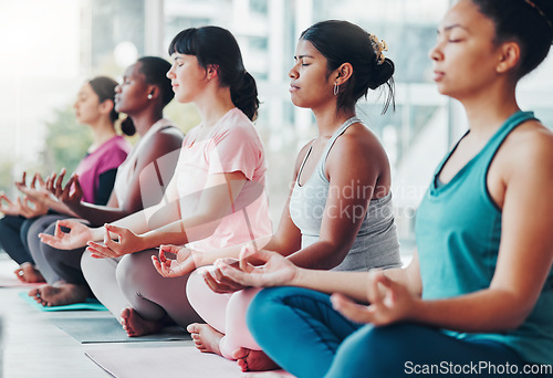 Image of Meditation exercise, yoga class and healthy women together for fitness, peace and wellness. Diversity group in lotus at health studio for holistic workout, mental health and body balance for zen mind