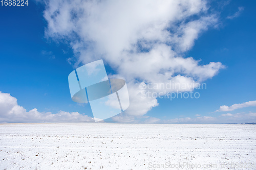 Image of Simple winter background with blue sky