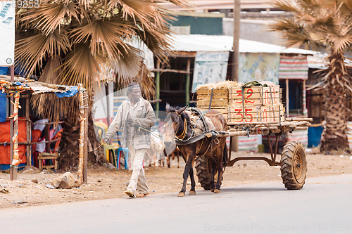 Image of Ethiopian man with a horse-drawn carriage on the street