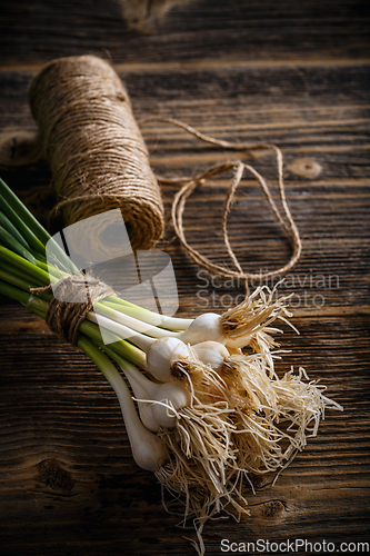 Image of Fresh green garlic