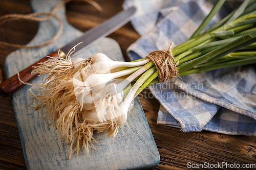 Image of Fresh green garlic