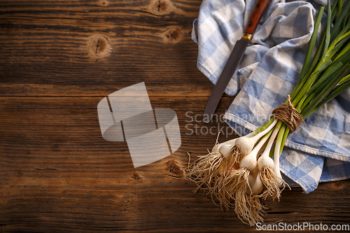 Image of Bunch of young green garlic