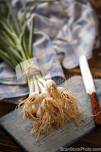 Image of Bunch of fresh garlic