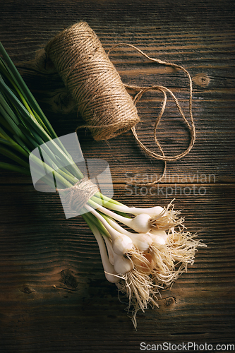 Image of Organic fresh garlic