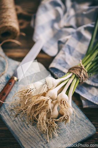 Image of Bunch of fresh garlic