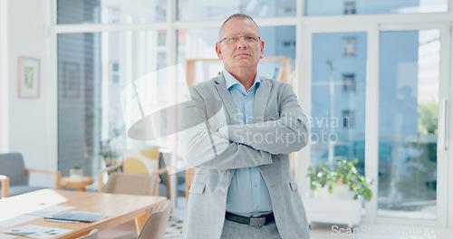Image of Mature businessman, arms crossed and corporate finance office worker in growth innovation, insurance goals and investment ideas. Financial manager portrait, CEO leadership and Canada success mindset