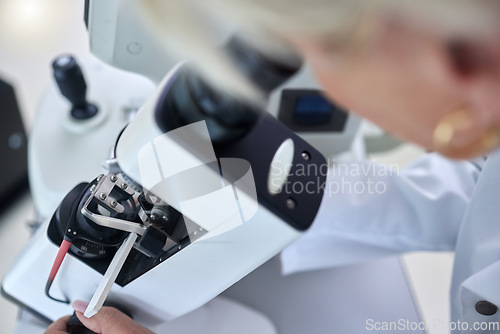 Image of Microbiology, science and woman with microscope for research, studying bacteria and chemistry in a lab. Healthcare, analytics and scientist looking through a lens for medical analysis on a virus