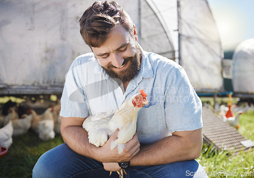 Image of Man on farm, chicken and agriculture with happiness, poultry livestock with sustainability and organic free range. Agro business, farming and environment with animal, happy farmer in countryside