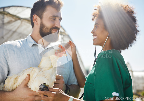 Image of Veterinary, farm and doctor and nurse with chicken for health check, wellness and inspection. Poultry farming, animal healthcare and vet team with stethoscope for medical care, analysis and exam