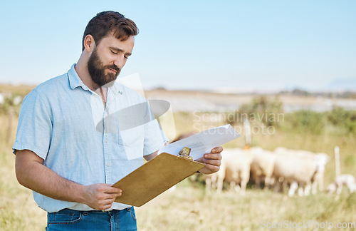 Image of Farmer, thinking or clipboard paper on livestock agriculture, countryside environment or nature land for sheep growth management. Man, farming or worker and documents for animals healthcare insurance