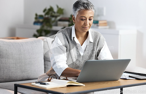 Image of Business woman, laptop and home office while typing for online communication or networking. Senior freelancer entrepreneur person with internet connection writing email, planning or website research