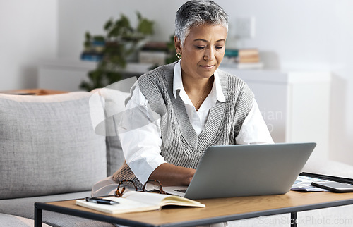 Image of Laptop, business woman and home office while online typing for communication or networking. Entrepreneur person with internet connection for writing email, planning schedule or website research