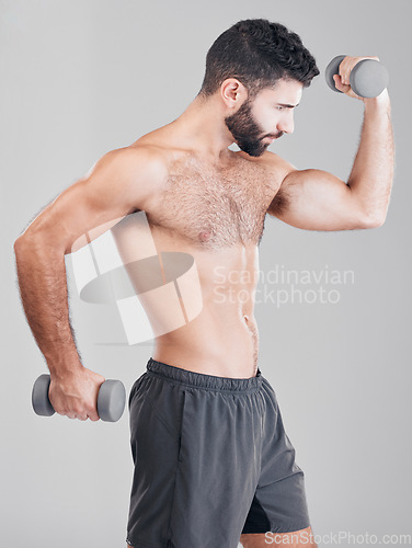 Image of Bodybuilder man, studio and dumbbells for training, fitness and muscle development by gray background. Model, healthy strong body and exercise for wellness, growth and goals for motivation at workout