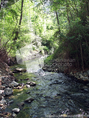 Image of Sunny trees, shadowy river. Cyprus