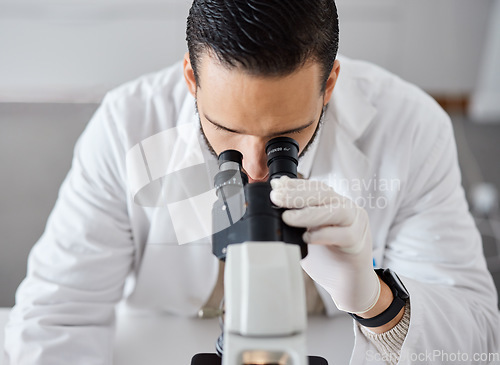 Image of Science, microscope and a doctor man at work in a laboratory for innovation or research. Medical, analytics and biotechnology with a male scientist working in a lab for breakthrough