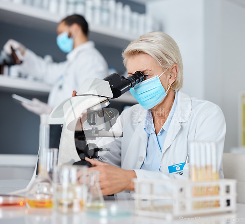 Image of Scientist woman, microscope and bacteria analysis in laboratory for research at pharma company. Science team, man and data analytics in biotechnology for goals, vision and study to stop covid in lab
