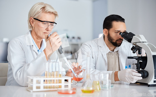 Image of Science, collaboration and research with a medicine team working in a laboratory for innovation or development. Doctor, teamwork or medical with a man and woman scientist at work in a pathology lab