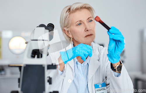 Image of Senior woman, doctor and hands with blood sample, vial or tube for scientific research, testing or exam in a lab. Elderly female scientist or medical expert holding DNA for science test at laboratory