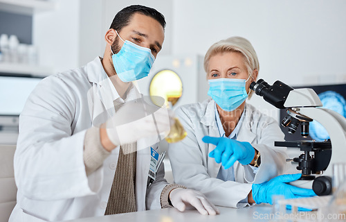 Image of Science, glass beaker and team of scientists working in a laboratory for research, experiment or analysis. Innovation, teamwork and professional scientific researchers with face mask in the lab.