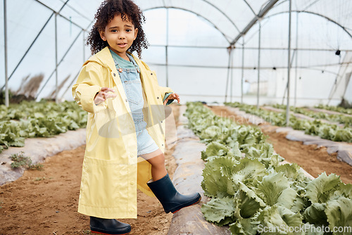 Image of Kid, talking or girl in farming portrait, greenhouse or agriculture land education in sustainability field growth. Child, learning or gardening boots in countryside nature with lettuce agro questions