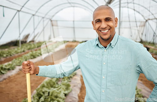 Image of Man, portrait or farming tool in greenhouse, agriculture land or sustainability field for vegetables harvesting. Smile, happy or farmer with gardening equipment for soil, lettuce or growth management