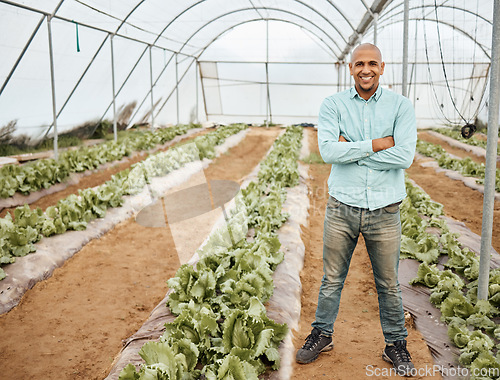 Image of Man, farmer and smile with arms crossed for agriculture farming in greenhouse, sustainability or crop harvest. Portrait of male on farm with fresh vegetable produce, green and eco friendly production