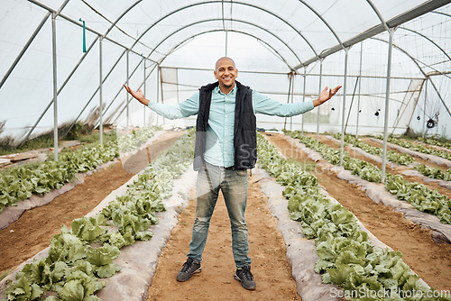 Image of Farmer, portrait or arms up in farming success, greenhouse vegetable harvest or agriculture land growth in sustainability field. Smile, happy or winner farming man and pride hands for lettuce victory
