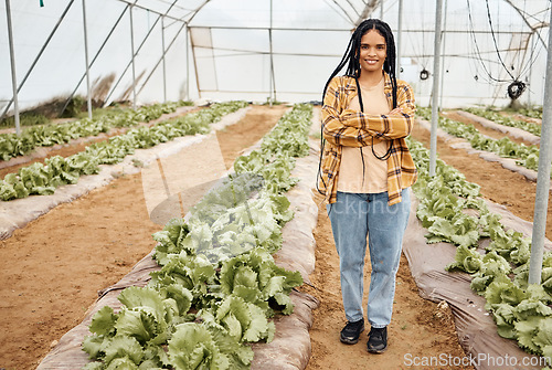 Image of Farmer, portrait or arms crossed in greenhouse, agriculture field or sustainability nature with lettuce growth goals. Smile, happy or confident woman with farming mindset, vegetables success or ideas