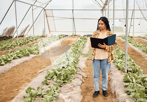 Image of Farmer, clipboard and writing in farming check, greenhouse analytics or lettuce growth research in crop compliance. Agriculture, countryside and garden field for inspection woman or food management