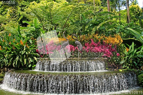 Image of Botanical garden in Singapore