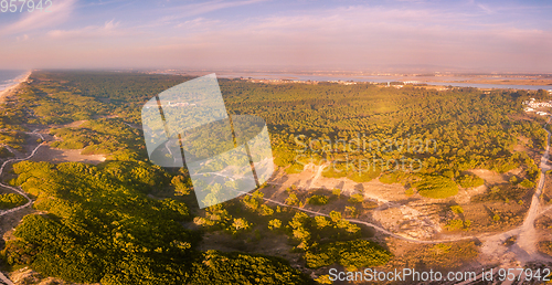 Image of Aerial view of secondary sand dunes at sunset