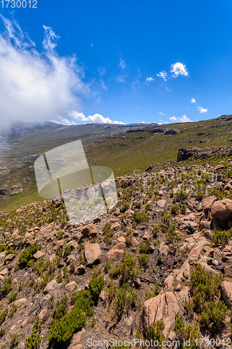 Image of Bale Mountain landscape, Ethiopia