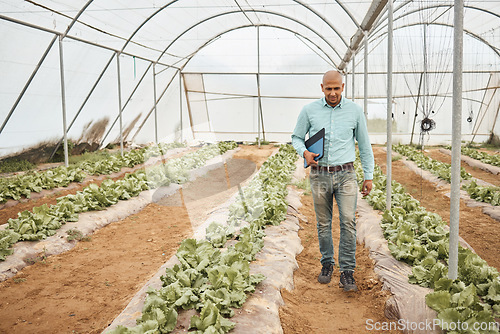 Image of Farmer, clipboard or walking in farming check, greenhouse analytics or lettuce growth research in crop compliance. Agriculture, countryside or garden field in inspection man or nature food innovation