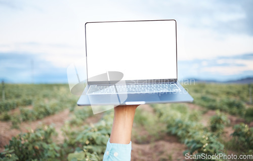 Image of Farm, agriculture and sustainability with a laptop in the hand of a farmer outdoor in a crop field during the harvest season. Farming, agricultural and sustainable research with a computer outside