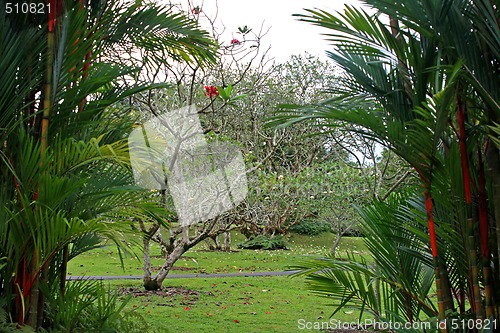 Image of Botanical garden in Singapore