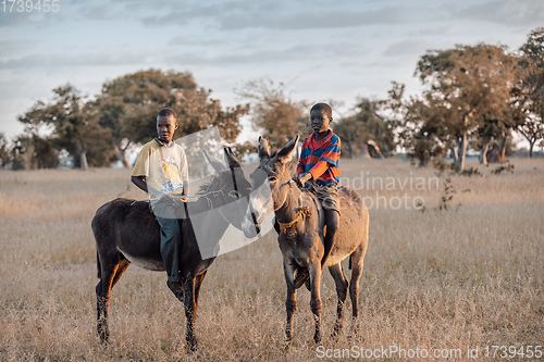 Image of Himba boys, indigenous namibian ethnic people, Africa