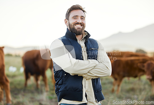 Image of Small business, farming and portrait of man with cows in field, happy farm life in countryside in dairy and beef production. Nature, farmer and sustainability and confidence in agriculture and food.