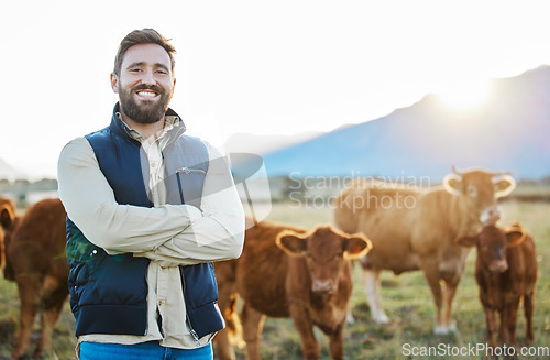 Image of Sustainability, confidence and portrait of farmer with cows on field, happy countryside farming with dairy and beef production. Nature, meat or milk farm, sustainable business, agriculture and food.