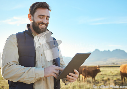 Image of Checklist, cow or agriculture man with tablet on farm for sustainability, production or industry growth research. Agro, happy or farmer on countryside field for dairy stock, animals or food