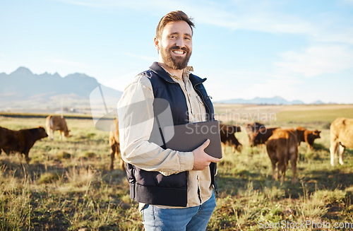 Image of Smile, cow and agriculture with man portrait on farm for sustainability, production or thinking industry growth. Agro, tablet or happy farmer on countryside field on tech for dairy, animals or nature