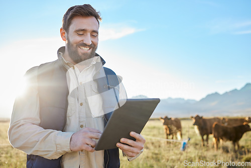 Image of Smile, cow agriculture or man with tablet on farm for sustainability, production or industry growth research. Agro, happy or farmer on countryside field for dairy stock, animals or food checklist