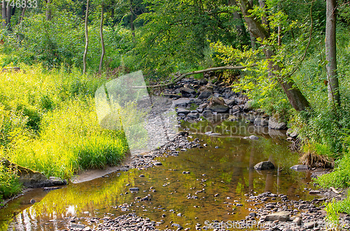 Image of small wild river in Bohemian forest